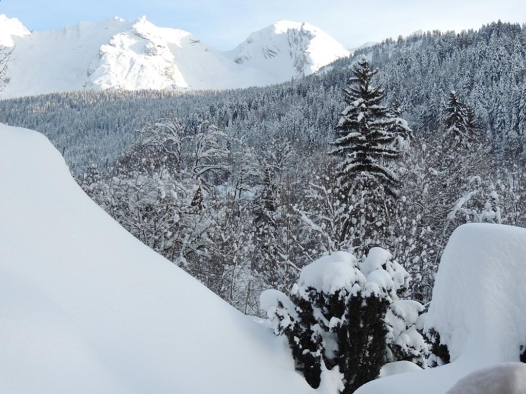 Apartamento La Duche 101 Le Grand-Bornand Habitación foto